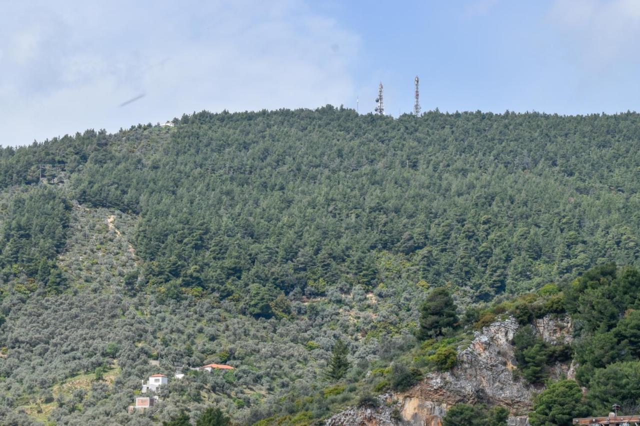 Zoe'S Flat Megali Ammos Διαμέρισμα Σκιάθος Πόλη Εξωτερικό φωτογραφία